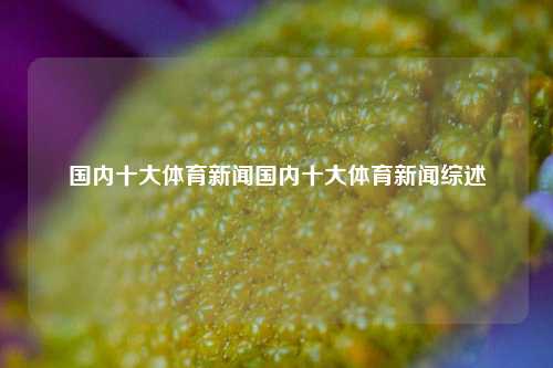 国内十大体育新闻国内十大体育新闻综述