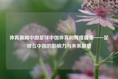体育新闻中国足球中国体育的辉煌篇章——足球在中国的影响力与未来展望