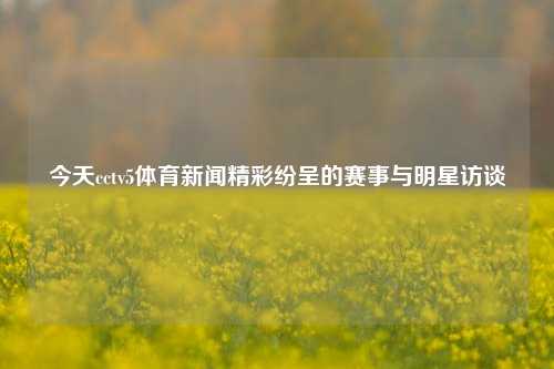 今天cctv5体育新闻精彩纷呈的赛事与明星访谈