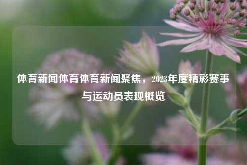 体育新闻体育体育新闻聚焦，2023年度精彩赛事与运动员表现概览