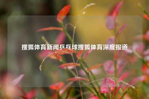 搜狐体育新闻乒乓球搜狐体育深度报道