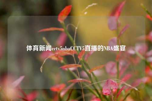 体育新闻cctv5nbaCCTV5直播的NBA盛宴