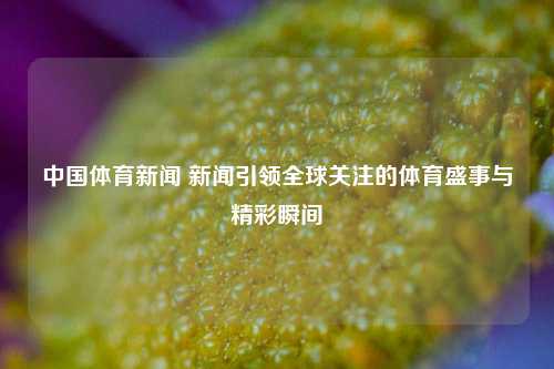 中国体育新闻 新闻引领全球关注的体育盛事与精彩瞬间
