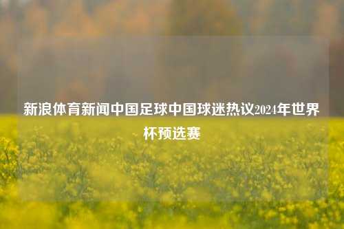 新浪体育新闻中国足球中国球迷热议2024年世界杯预选赛