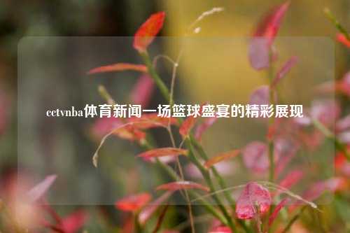 cctvnba体育新闻一场篮球盛宴的精彩展现