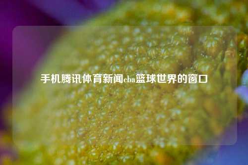 手机腾讯体育新闻cba篮球世界的窗口