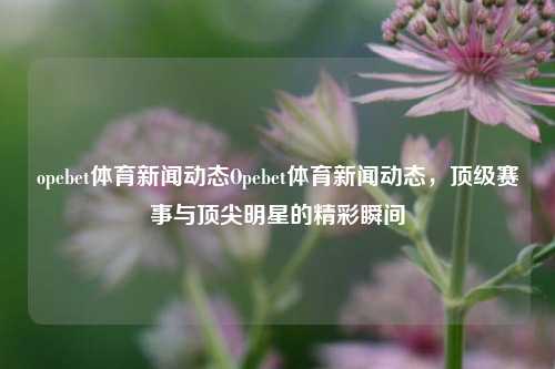 opebet体育新闻动态Opebet体育新闻动态，顶级赛事与顶尖明星的精彩瞬间
