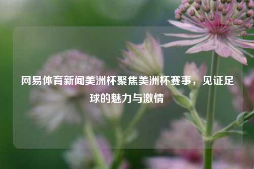 网易体育新闻美洲杯聚焦美洲杯赛事，见证足球的魅力与激情