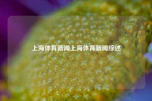 上海体育新闻上海体育新闻综述