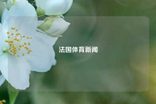 法国体育新闻