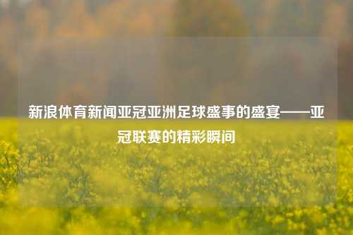 新浪体育新闻亚冠亚洲足球盛事的盛宴——亚冠联赛的精彩瞬间