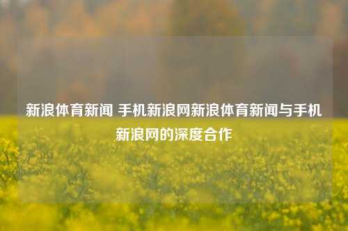新浪体育新闻 手机新浪网新浪体育新闻与手机新浪网的深度合作