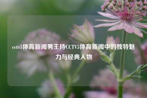 cctv5体育新闻男主持CCTV5体育新闻中的独特魅力与经典人物