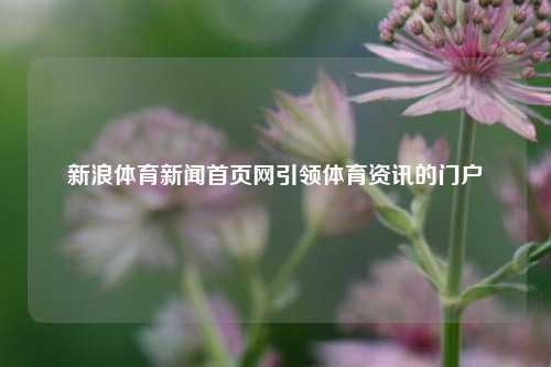 新浪体育新闻首页网引领体育资讯的门户