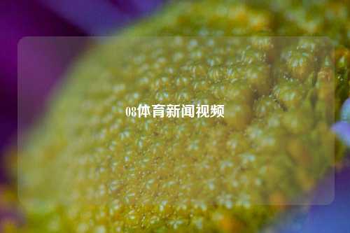 08体育新闻视频