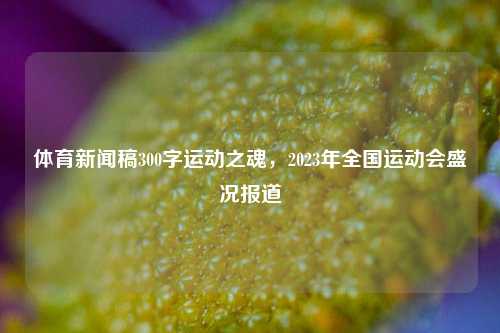 体育新闻稿300字运动之魂，2023年全国运动会盛况报道