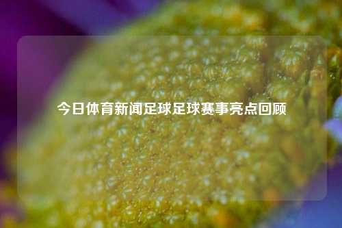 今日体育新闻足球足球赛事亮点回顾