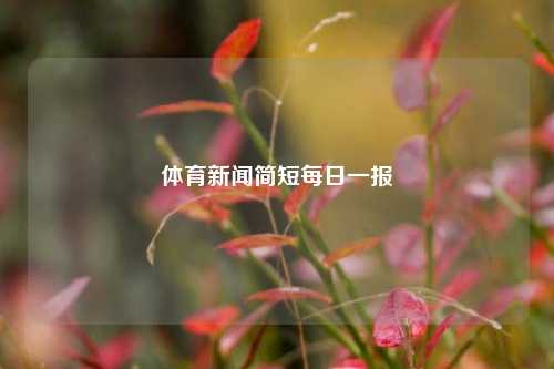 体育新闻简短每日一报