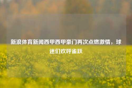 新浪体育新闻西甲西甲豪门再次点燃激情，球迷们欢呼雀跃