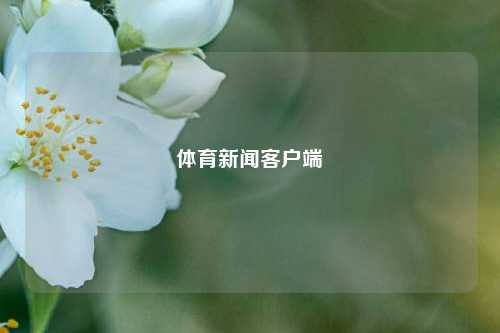 体育新闻客户端