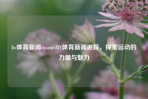 bv体育新闻tiyuweiBV体育新闻追踪，探索运动的力量与魅力
