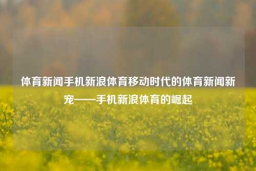 体育新闻手机新浪体育移动时代的体育新闻新宠——手机新浪体育的崛起