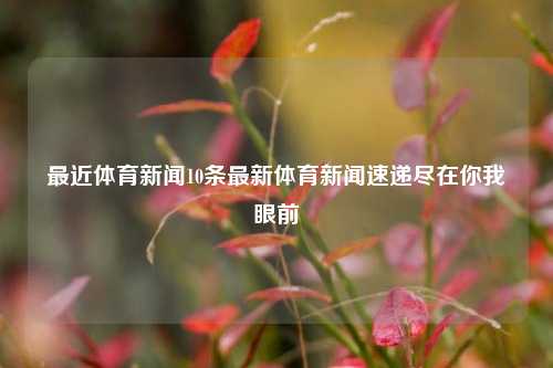最近体育新闻10条最新体育新闻速递尽在你我眼前