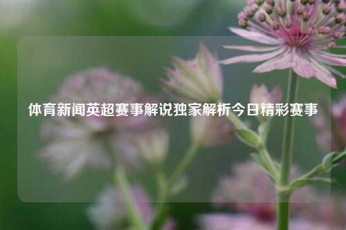 体育新闻英超赛事解说独家解析今日精彩赛事