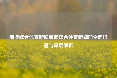 新浪综合体育新闻新浪综合体育新闻的全面报道与深度解析