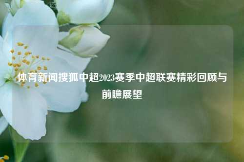 体育新闻搜狐中超2023赛季中超联赛精彩回顾与前瞻展望