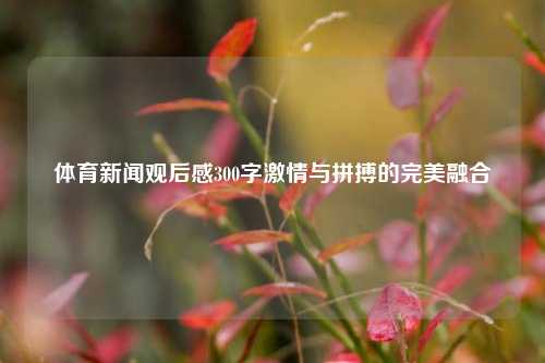 体育新闻观后感300字激情与拼搏的完美融合