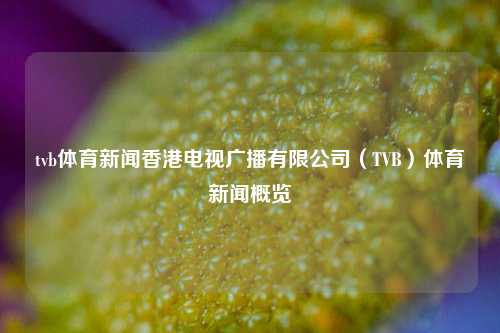 tvb体育新闻香港电视广播有限公司（TVB）体育新闻概览