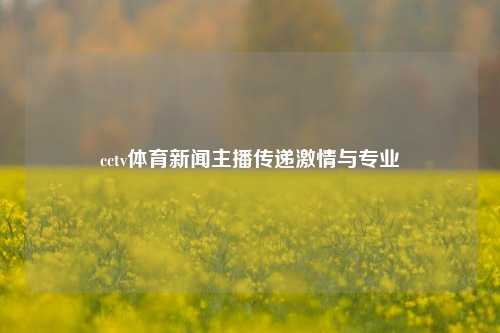 cctv体育新闻主播传递激情与专业