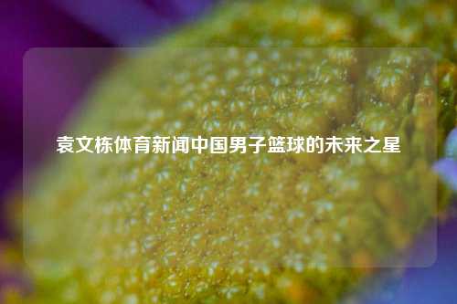 袁文栋体育新闻中国男子篮球的未来之星
