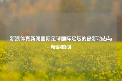 新浪体育新闻国际足球国际足坛的最新动态与精彩瞬间