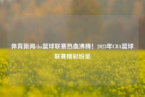 体育新闻cba篮球联赛热血沸腾！2023年CBA篮球联赛精彩纷呈