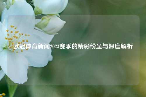 欧冠体育新闻2023赛季的精彩纷呈与深度解析