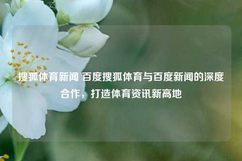 搜狐体育新闻 百度搜狐体育与百度新闻的深度合作，打造体育资讯新高地