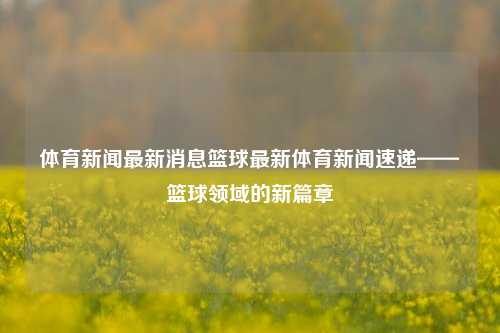 体育新闻最新消息篮球最新体育新闻速递——篮球领域的新篇章