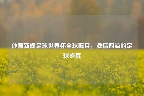 体育新闻足球世界杯全球瞩目，激情四溢的足球盛宴