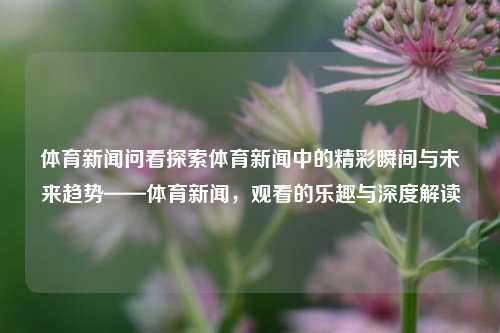 体育新闻问看探索体育新闻中的精彩瞬间与未来趋势——体育新闻，观看的乐趣与深度解读