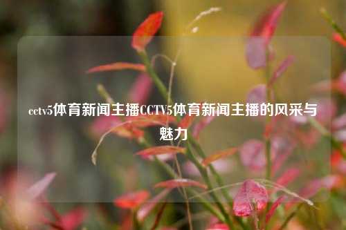 cctv5体育新闻主播CCTV5体育新闻主播的风采与魅力