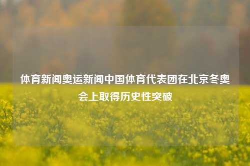 体育新闻奥运新闻中国体育代表团在北京冬奥会上取得历史性突破