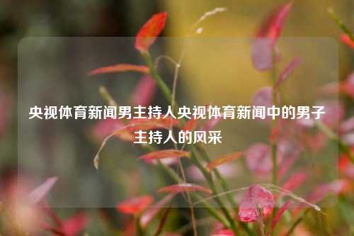 央视体育新闻男主持人央视体育新闻中的男子主持人的风采