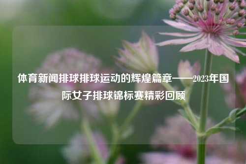 体育新闻排球排球运动的辉煌篇章——2023年国际女子排球锦标赛精彩回顾