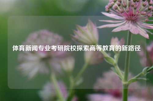 体育新闻专业考研院校探索高等教育的新路径