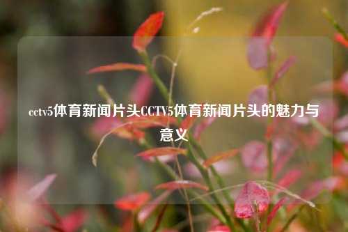 cctv5体育新闻片头CCTV5体育新闻片头的魅力与意义