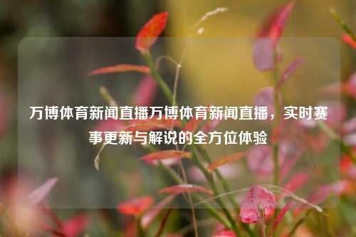 万博体育新闻直播万博体育新闻直播，实时赛事更新与解说的全方位体验