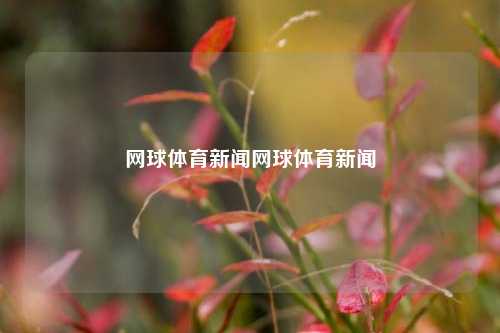 网球体育新闻网球体育新闻