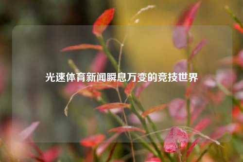 光速体育新闻瞬息万变的竞技世界